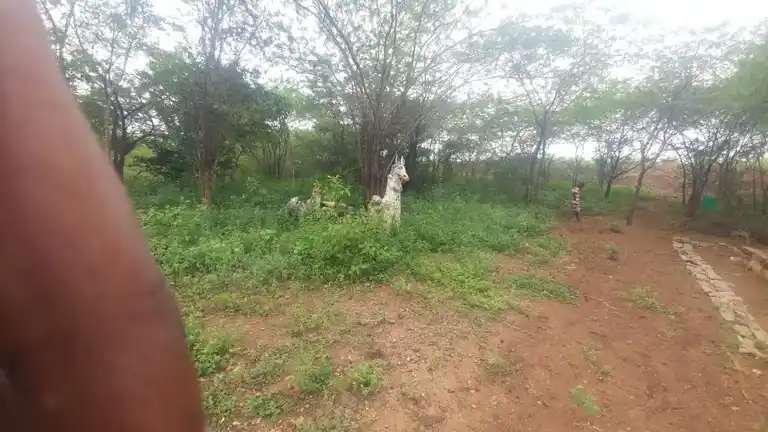 Arulmigu Athiraamcheri Ayyanar Temple, Ayyapatti - 625103 அருள்மிகு அதிதாம் சேரி அய்யனார் கோயில், Ayyapatti - 625103, Madurai - Ancient Temple Architecture and History Image 3