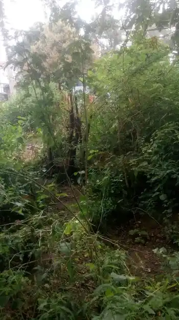 Arulmigu Attavanai Vinayagar Temple, Kottaimettupatti - 636455 அருள்மிகு அட்டவணை விநாயகர் திருக்கோயில், Kottaimettupatti - 636455, Salem - Ancient Temple Architecture and History Image 2