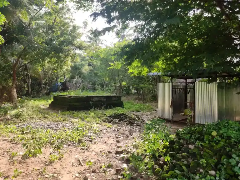 Arulmigu Attrankarai Annadhana Pilliyar Temple, Annadhanapuram - 609403 அருள்மிக ஆற்றங்கரை அன்னதானபிள்ளையார் திருக்கோயில், Annadhanapuram - 609403, Thiruvarur - Ancient Temple Architecture and History Image 2