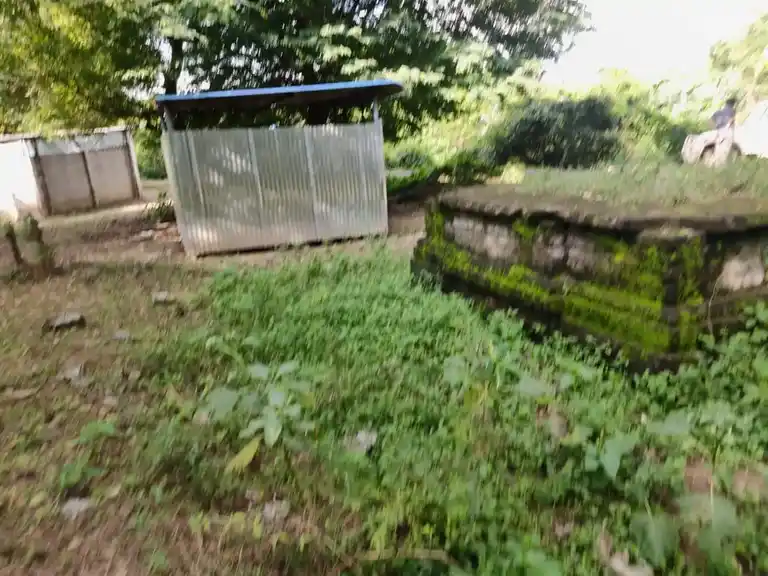 Arulmigu Attrankarai Annadhana Pilliyar Temple, Annadhanapuram - 609403 அருள்மிக ஆற்றங்கரை அன்னதானபிள்ளையார் திருக்கோயில், Annadhanapuram - 609403, Thiruvarur - Ancient Temple Architecture and History Image 5