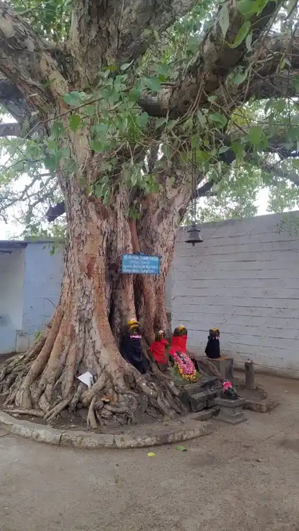 Arulmigu Aurperunjothi Nadarajar Temple, Villankurichi, Kalapatti - 641035 அருட்பெருஞ்ஜோதி நடராஜர் ஆலயம், Villankurichi, களப்பட்டி - 641035, Coimbatore - Ancient Temple Architecture and History Image 2