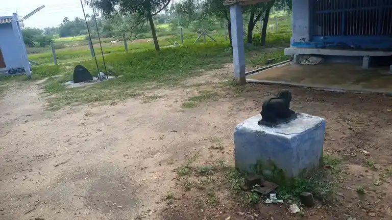 Arulmigu Avudaiyathal Temple, Kavuthampalayam - 638103 அருள்மிகு ஆவுடையாத்தாள் திருக்கோயில், Kavuthampalayam - 638103, Tiruppur - Ancient Temple Architecture and History Image 4