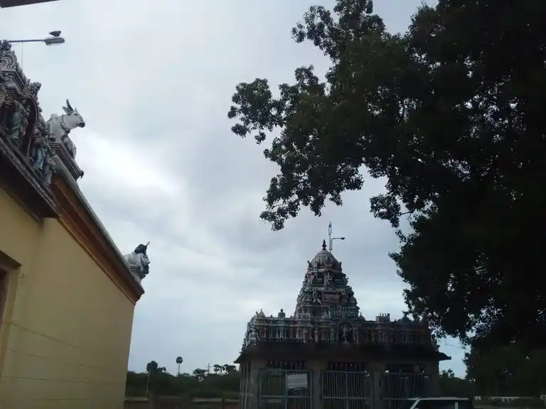 Arulmigu Avudayanathan Sivayogavalli Temple, Mithilaippatti - 622409 அருள்மிகு ஆவுடையநாதன் சிவயோகவள்ளி திருக்கோயில், Mithilaippatti - 622409, Pudukkottai - Ancient Temple Architecture and History Image 4