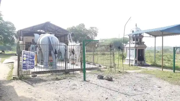 Arulmigu Ayannar Temple, Asur - 612001 Arulmigu Ayannar Temple, Asur - 612001, Thanjavur - Ancient Temple Architecture and History Image 2