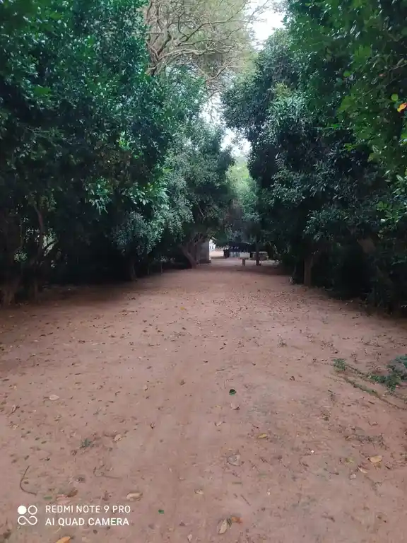 Arulmigu Ayannar Temple, Periyakrishnapuram - 621805 அருள்மிகு அய்யனார் திருக்கோயில், Periyakrishnapuram - 621805, Ariyalur - Ancient Temple Architecture and History Image 2