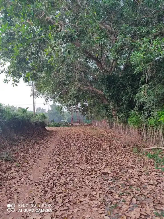 Arulmigu Ayannar Temple, Periyakrishnapuram - 621805 அருள்மிகு அய்யனார் திருக்கோயில், Periyakrishnapuram - 621805, Ariyalur - Ancient Temple Architecture and History Image 3