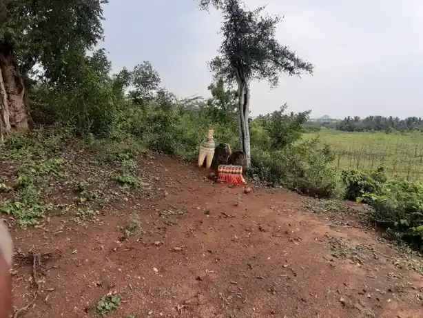 Arulmigu Ayyampalayamkulam Kannimaar Temple, Ayyampalayamkulam - 624706 அருள்மிகு அய்யம்பாளையம் குளம் கன்னிமார் திருக்கோயில், Ayyampalayamkulam - 624706, Dindigul - Ancient Temple Architecture and History Image 3