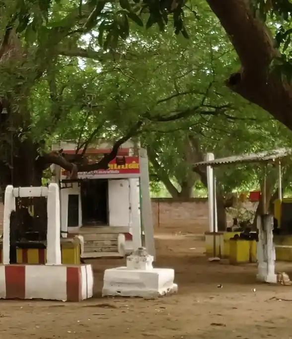 Arulmigu Ayyanaar Temple, Ayakudi - 624613