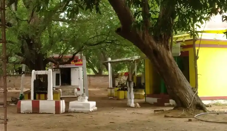 Arulmigu Ayyanaar Temple, Ayakudi - 624613 அருள்மிகு அய்யனார் திருக்கோயில், Ayakudi - 624613, Dindigul - Ancient Temple Architecture and History Image 4