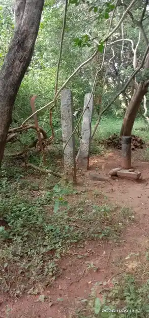 Arulmigu Ayyanaar Temple, N.Kovilpatti - 624401 அருள்மிகு அய்யனார் திருக்கோவில், N.Kovilpatti - 624401, Dindigul - Ancient Temple Architecture and History Image 2