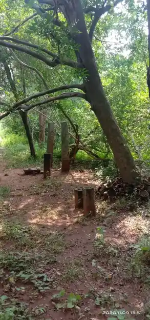 Arulmigu Ayyanaar Temple, N.Kovilpatti - 624401 அருள்மிகு அய்யனார் திருக்கோவில், N.Kovilpatti - 624401, Dindigul - Ancient Temple Architecture and History Image 3