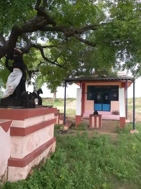 Arulmigu Ayyanaar Temple, Near Kanmai Karai, Kasirediyapatti - 626003 அருள்மிகு அய்யனார் திருக்கோயில், கண்மாய்க்கரை அருகில், காசிரெட்டியபட்டி - 626003, Virudhunagar - Ancient Temple Architecture and History Image 8