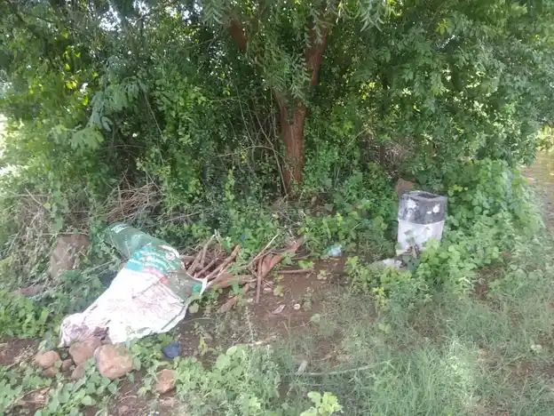 Arulmigu Ayyanaar Temple, Pannaipatty - 624202