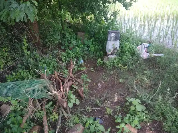 Arulmigu Ayyanaar Temple, Pannaipatty - 624202 அருள்மிகு அய்யனார் திருக்கோயில், Pannaipatty - 624202, Dindigul - Ancient Temple Architecture and History Image 3