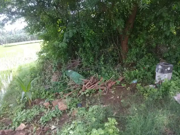 Arulmigu Ayyanaar Temple, Pannaipatty - 624202 அருள்மிகு அய்யனார் திருக்கோயில், Pannaipatty - 624202, Dindigul - Ancient Temple Architecture and History Image 4