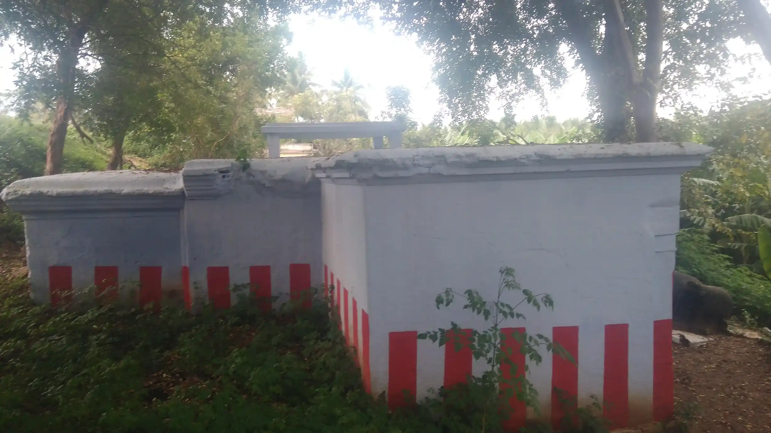 Arulmigu Ayyanaar Temple, Papinayakanpatti - 625601