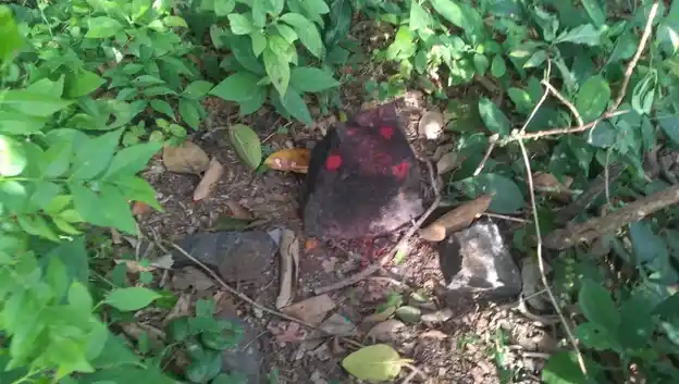 Arulmigu Ayyanaar Temple, Reddakuruchi - 606109