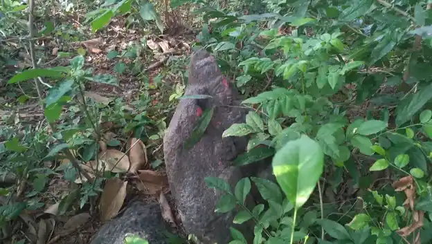 Arulmigu Ayyanaar Temple, Reddakuruchi - 606109 அருள்மிகு அயய்யனார் திருக்கோயில், Reddakuruchi - 606109, Cuddalore - Ancient Temple Architecture and History Image 2