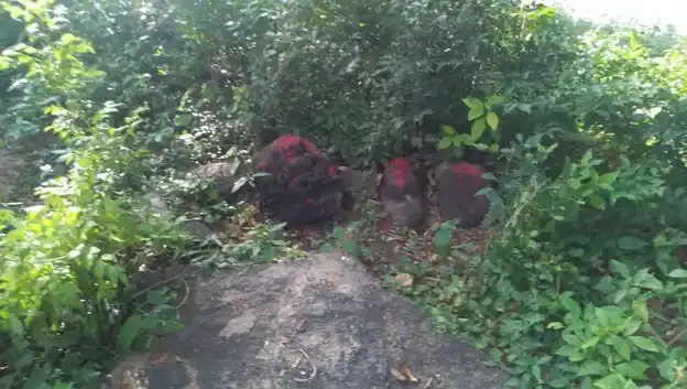 Arulmigu Ayyanaar Temple, Reddakuruchi - 606109 அருள்மிகு அயய்யனார் திருக்கோயில், Reddakuruchi - 606109, Cuddalore - Ancient Temple Architecture and History Image 3