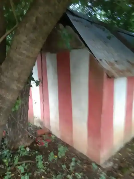 Arulmigu Ayyanaar Temple, Singanoor - 604001 அருள்மிகு அய்யனார் திருக்கோயில், Singanoor - 604001, Viluppuram - Ancient Temple Architecture and History Image 2