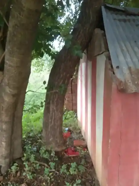 Arulmigu Ayyanaar Temple, Singanoor - 604001 அருள்மிகு அய்யனார் திருக்கோயில், Singanoor - 604001, Viluppuram - Ancient Temple Architecture and History Image 5