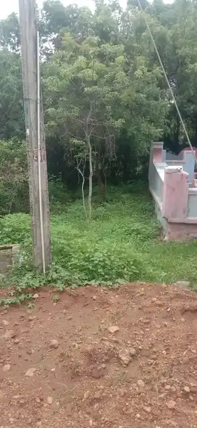 Arulmigu Ayyanaar Temple, Sivagnanapuram - 624219 அருள்மிகு அய்யனார் திருக்கோயில், Sivagnanapuram - 624219, Dindigul - Ancient Temple Architecture and History Image 3