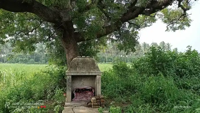 Arulmigu Ayyanaar Temple, Veeraanam - 605106 Arulmigu Ayyanaar Temple, Veeraanam - 605106, Viluppuram - Ancient Temple Architecture and History Image 3