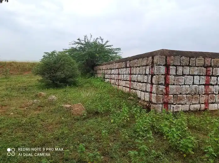Arulmigu Ayyanar And Amachiyar Temple, Melakuilkudi - 625019