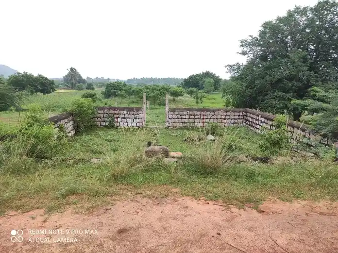 Arulmigu Ayyanar And Amachiyar Temple, Melakuilkudi - 625019 அய்யனார் திருக்கோயில், Melakuilkudi - 625019, Madurai - Ancient Temple Architecture and History Image 4