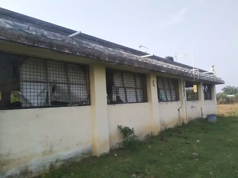 Arulmigu Ayyanar, Chithi Vinayagar, Pidari Temple, Sengamedu, Sattanathapuram - 609111 அருள்மிகு அய்யனார், சித்திவினாயகர், பிடாரி திருக்கோயில், Sengamedu, Sirkali - 609111, Mayiladuthurai - Ancient Temple Architecture and History Image 4