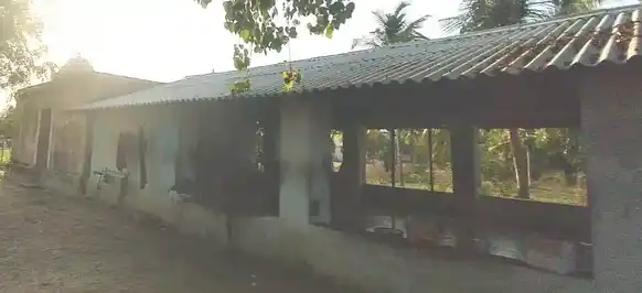 Arulmigu Ayyanar Kaliamman Temple, Sembodai - 614820 Arulmigu Ayyanar Kaliamman Temple, Sembodai - 614820, Nagapattinam - Ancient Temple Architecture and History Image 2