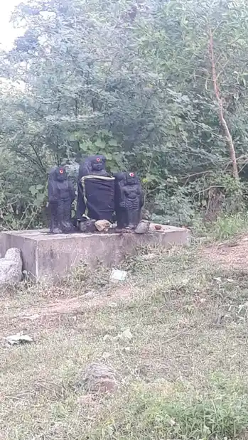 Arulmigu Ayyanar, Kampaperumal, Parakaruppar Temples, Thevaiyur - 621115