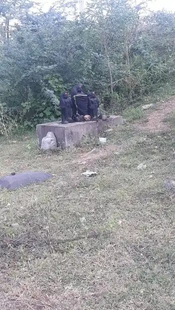 Arulmigu Ayyanar, Kampaperumal, Parakaruppar Temples, Thevaiyur - 621115 Arulmigu Ayyanar, Kampaperumal, Parakaruppar Temples, Thevaiyur - 621115, Perambalur - Ancient Temple Architecture and History Image 2