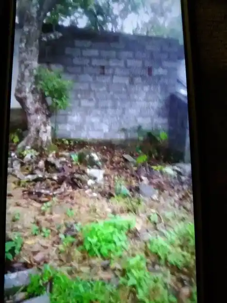 Arulmigu Ayyanar Karuppannaswamy Temple, Ariyur Nadu - 637415 அருள்மிகு அய்யனார் கருப்பண்ணஸ்வாமி திருக்கோயில், Ariyur Nadu - 637415, Namakkal - Ancient Temple Architecture and History Image 2