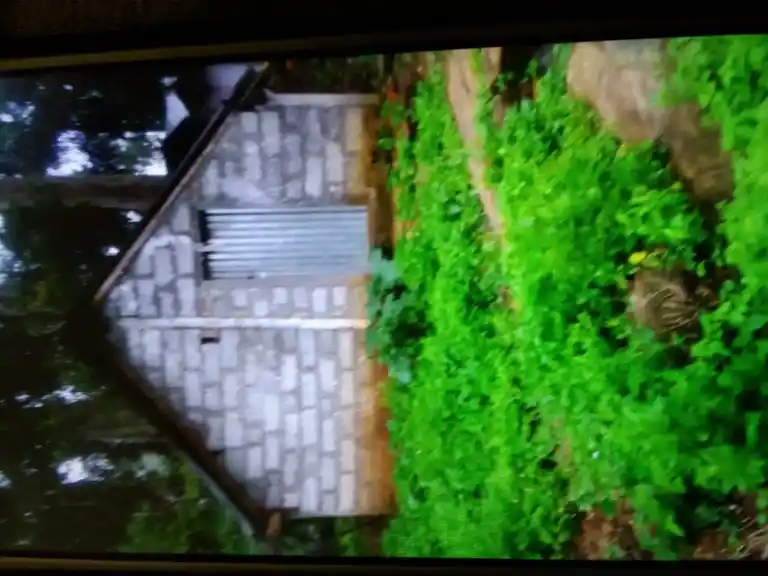 Arulmigu Ayyanar Karuppannaswamy Temple, Ariyur Nadu - 637415 அருள்மிகு அய்யனார் கருப்பண்ணஸ்வாமி திருக்கோயில், Ariyur Nadu - 637415, Namakkal - Ancient Temple Architecture and History Image 3