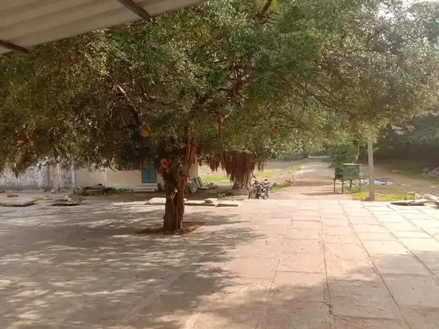 Arulmigu Ayyanar, Karuppasamy, Kaliyamman Temple, Nathamangudi - 621713 அருள்மிகு அய்யனார்,கருப்பசாமி வகையறா திருக்கோயில், நத்தமாங்குடி - 621713, Thiruchirappalli - Ancient Temple Architecture and History Image 3