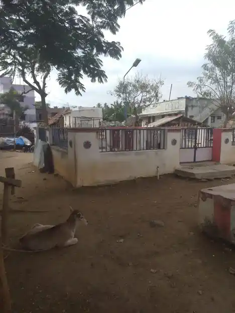 Arulmigu Ayyanar Oorkaval Karupasamy Temple, M.Idaiyapatti - 621305 Arulmigu Ayyanar Oorkaval karupasamy Temple, M.Idaiyapatti - 621305, Thiruchirappalli - Ancient Temple Architecture and History Image 5