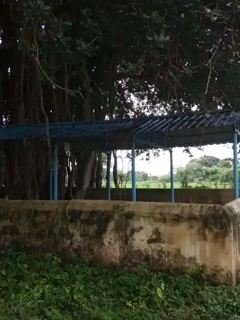 Arulmigu Ayyanar Pidari Temple, Puthagaram - 612202 அருள்மிகு அய்யனார், பிடாரி திருக்கோயில், Puthagaram - 612202, Thanjavur - Ancient Temple Architecture and History Image 4