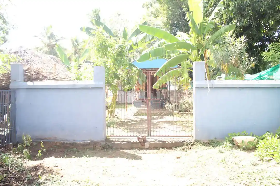 Arulmigu Ayyanar Pidari Temple, Sooriyanarkovil - 612102 அருள்மிகு அய்யனார் பிடாரி திருக்கோயில், Sooriyanarkovil - 612102, Thanjavur - Ancient Temple Architecture and History Image 4