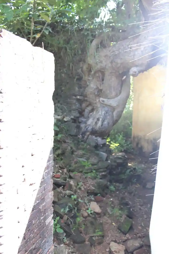 Arulmigu Ayyanar Pidari Temple, Thirumangalakudi - 612102 Arulmigu Ayyanar Pidari Temple, Thirumangalakudi - 612102, Thanjavur - Ancient Temple Architecture and History Image 6