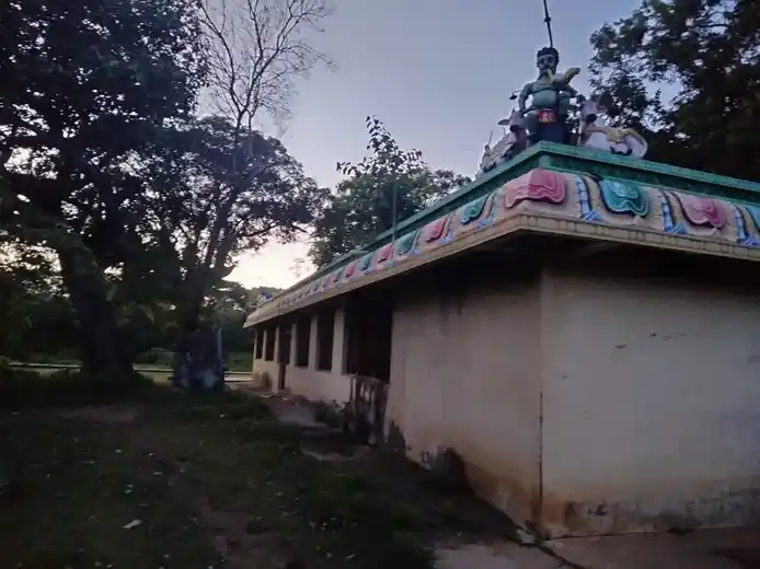 Arulmigu Ayyanar Pidari Vagaiyaratemple, Pazhianjianallur, Pazhianjianallur - 612202 Arulmigu Ayyanar Pidari VagaiyaraTemple, பழியஞ்சியநல்லூர், பழியஞ்சியநல்லூர் - 612202, Thanjavur - Ancient Temple Architecture and History Image 4