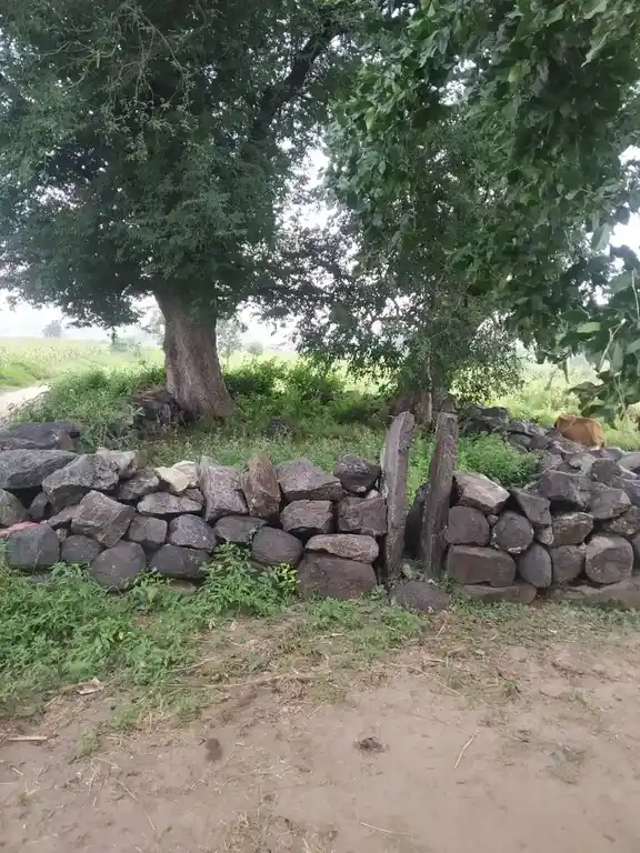 Arulmigu Ayyanar Pidariyamman Kambaperumal Temple, Manivilundhan - 636121 அருள்மிகு அய்யனார், பிடாரியம்மன், கம்ப பெருமாள் திருக்கோயில், Manivilundhan - 636121, Salem - Ancient Temple Architecture and History Image 5