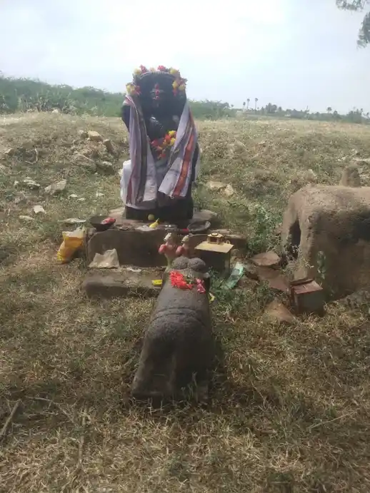 Arulmigu Ayyanar/Pillaiyar Temple, Maatthur - 622515 அருள்மிகு அய்யனார்/பிள்ளையார் திருக்கோயில், Maatthur - 622515, Pudukkottai - Ancient Temple Architecture and History Image 3