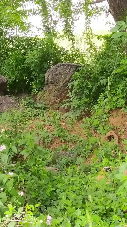 Arulmigu Ayyanar Temple, Aaruthrapattu - 606806 Arulmigu Ayyanar Temple, Aaruthrapattu, Aaruthrapattu - 606806, Tiruvannamalai - Ancient Temple Architecture and History Image 4