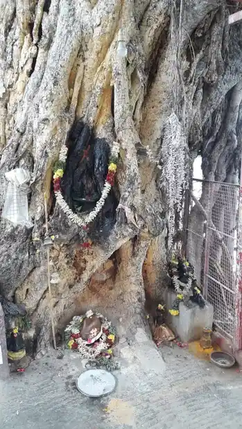 Arulmigu Ayyanar Temple, Aathikulam - 625014 அருள்மிகு அய்யனார் கோயில், Aathikulam - 625014, Madurai - Ancient Temple Architecture and History Image 2
