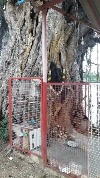 Arulmigu Ayyanar Temple, Aathikulam - 625014 அருள்மிகு அய்யனார் கோயில், Aathikulam - 625014, Madurai - Ancient Temple Architecture and History Image 3