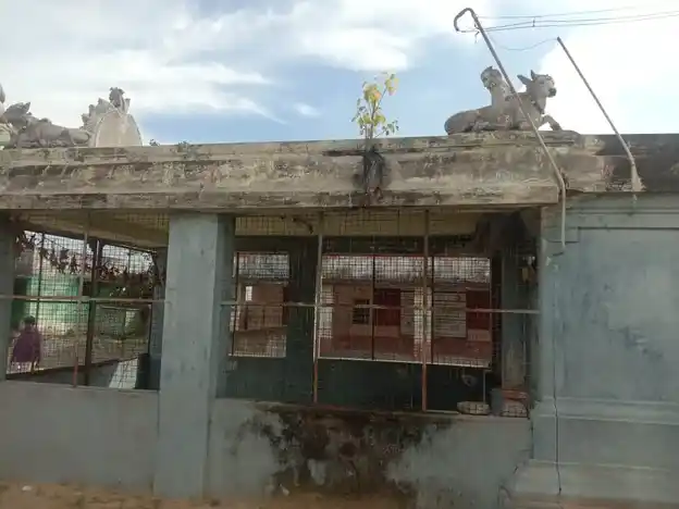 Arulmigu Ayyanar Temple, Adhinarayanapuram - 608801