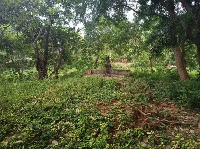 Arulmigu Ayyanar Temple, Alagapuram, Ariyalur - 608901 Arulmigu Ayyanar Temple, Alagapuram, Ariyalur - 608901, Ariyalur - Ancient Temple Architecture and History Image 3