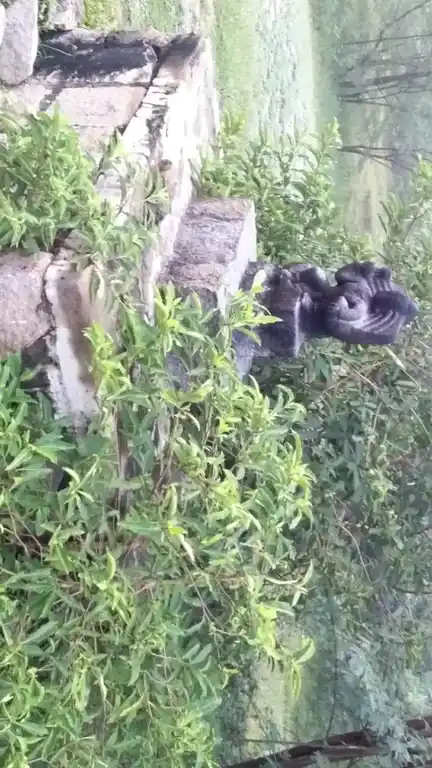 Arulmigu Ayyanar Temple, Alappalacheri - 625527