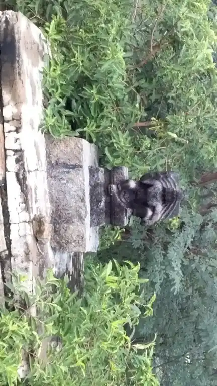 Arulmigu Ayyanar Temple, Alappalacheri - 625527 அய்யனார் திருக்கோயில், Alappalacheri - 625527, Madurai - Ancient Temple Architecture and History Image 2